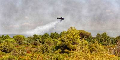 Les pompiers luttent contre une reprise de feu au Cannet-des-Maures