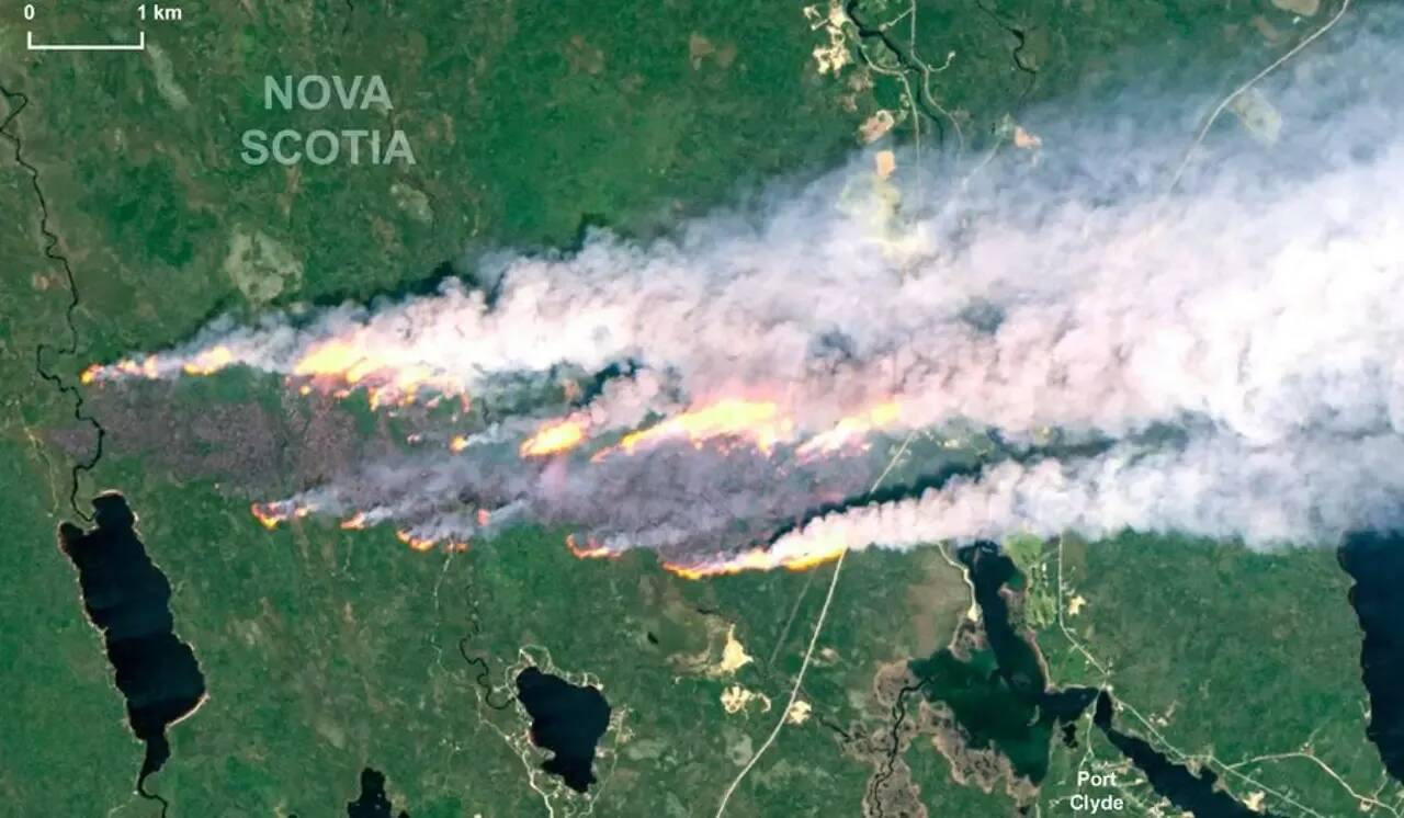 "Combattre le feu par le feu": quelle est cette technique surprenante utilisée par les pompiers du Canada pour faire face aux "mégas incendies"