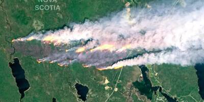 Les feux de forêts au Canada ont généré un record d'émissions de carbone, selon Copernicus