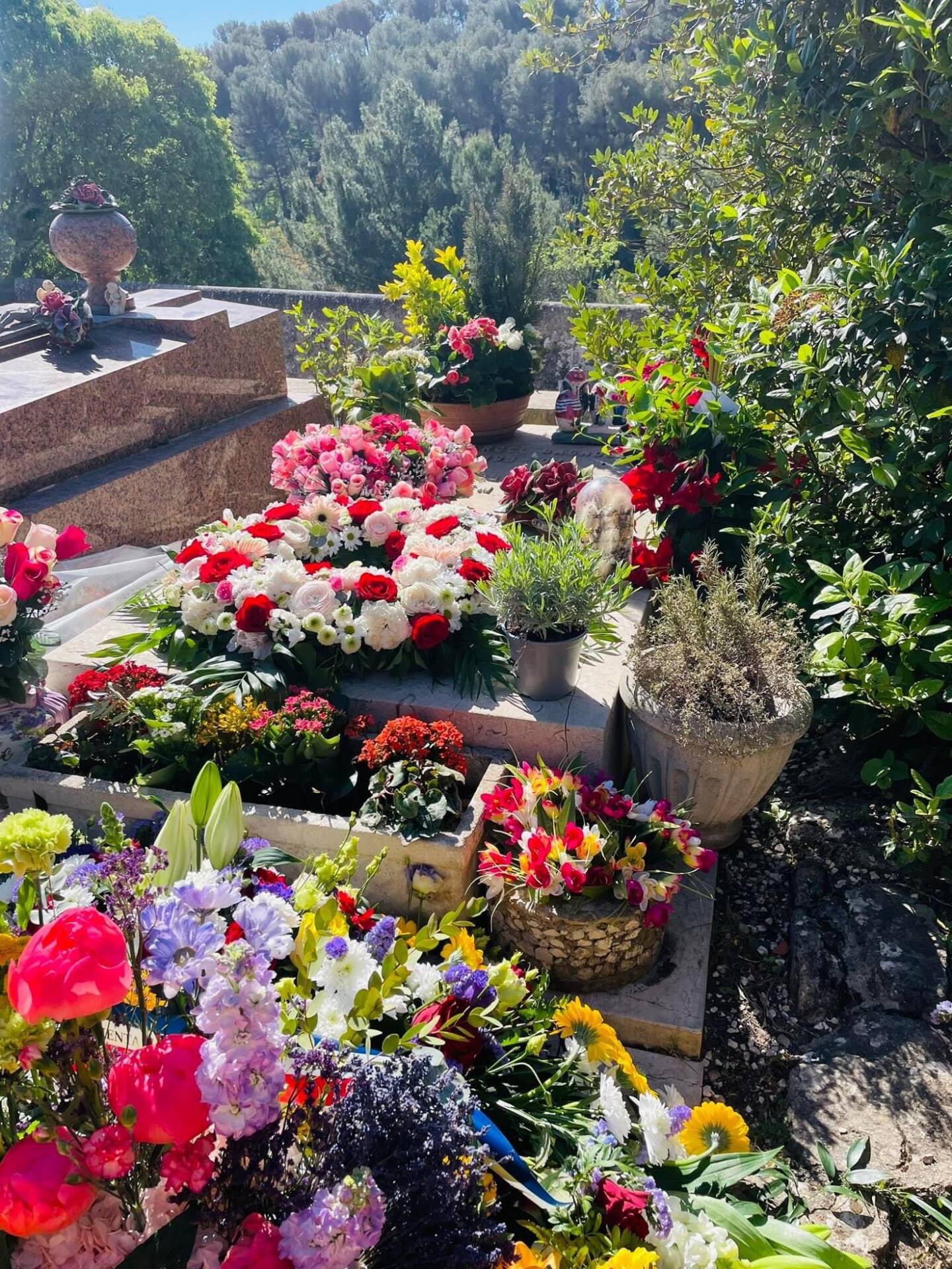 Les bandeaux des couronnes déposés par les collectivités locales sur la tombe de Marcel Pagnol ont été arraché, dénonce le petit-fils de l'auteur.