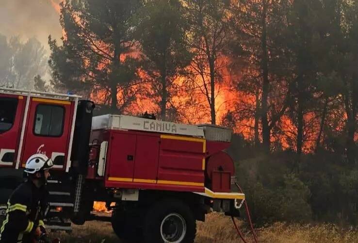 Les images de l'important incendie qui a ravagé des dizaines d'hectares de pinède dans l'Hérault et mobilisé 330 sapeurs-pompiers