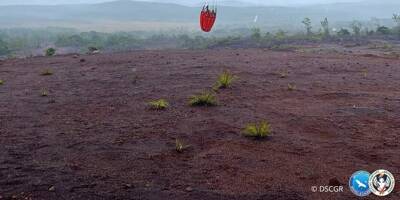 Un feu de forêt se déclare en Nouvelle-Calédonie: 1.650 hectares ravagés et un combat de plusieurs jours pour les sapeurs-pompiers