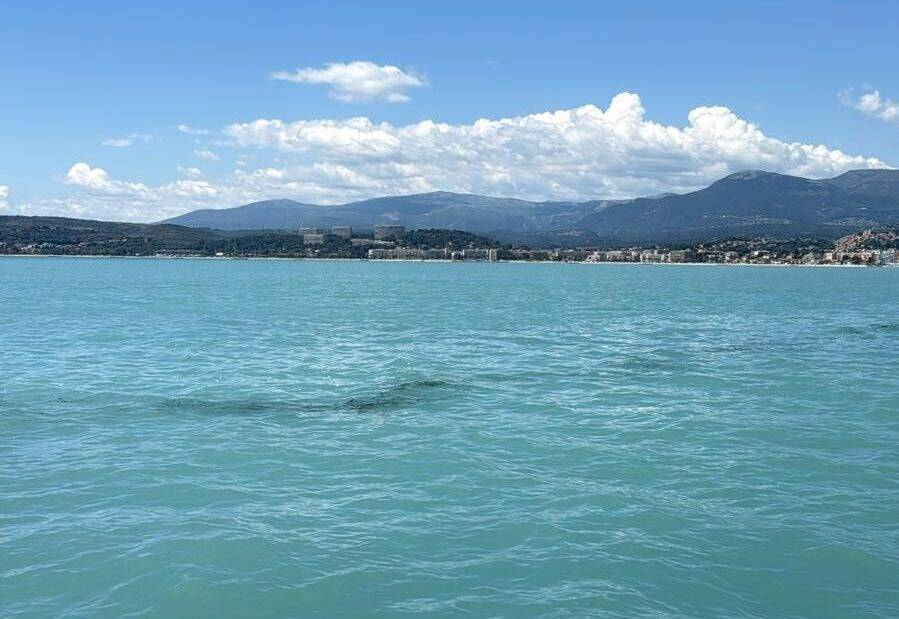 Pollution aux hydrocarbures à Cagnes-sur-Mer: deux plages fermées "par mesure de précaution"