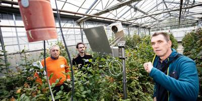 Le numérique pour aider l'horticulture du futur ?