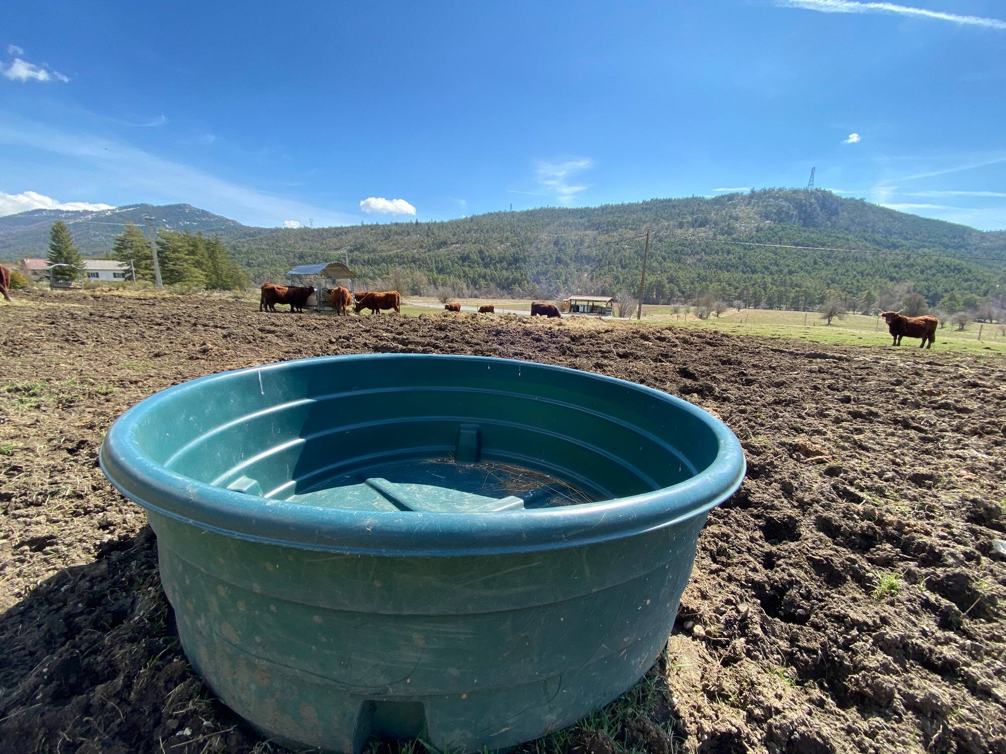 "On ne peut pas nourrir la population sans un tarif juste de l'eau." Le cri d'alerte du vice-président de la Chambre d'agriculture des Alpes-Maritimes