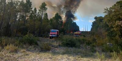 Trois hectares de pinède partis en fumée à Salernes