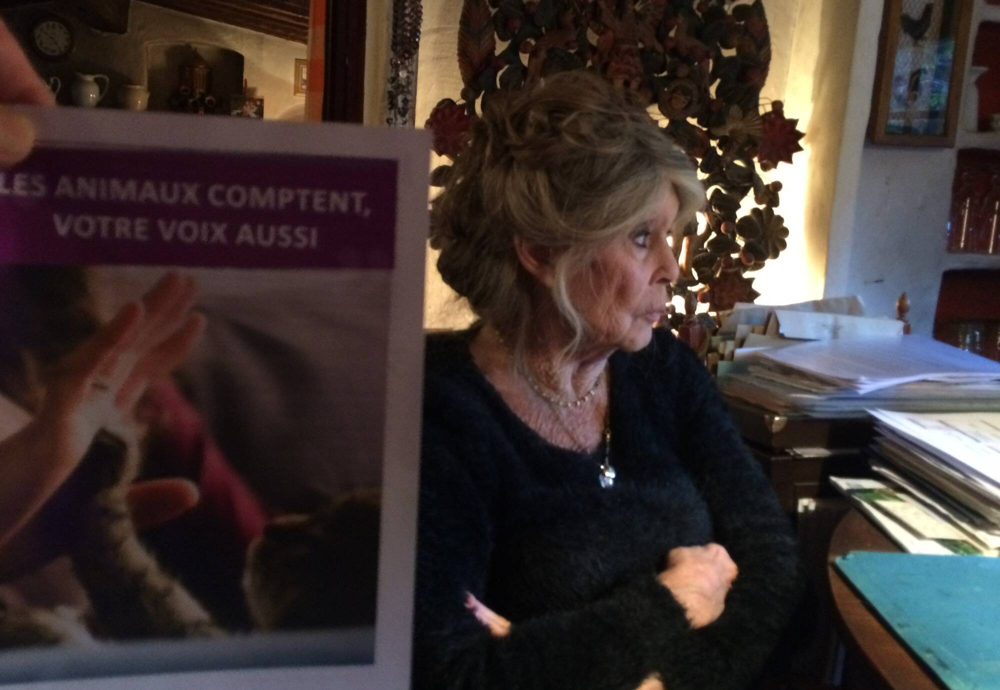 Pour Brigitte Bardot, "les spectateurs de la corrida sont des assassins par procuration"