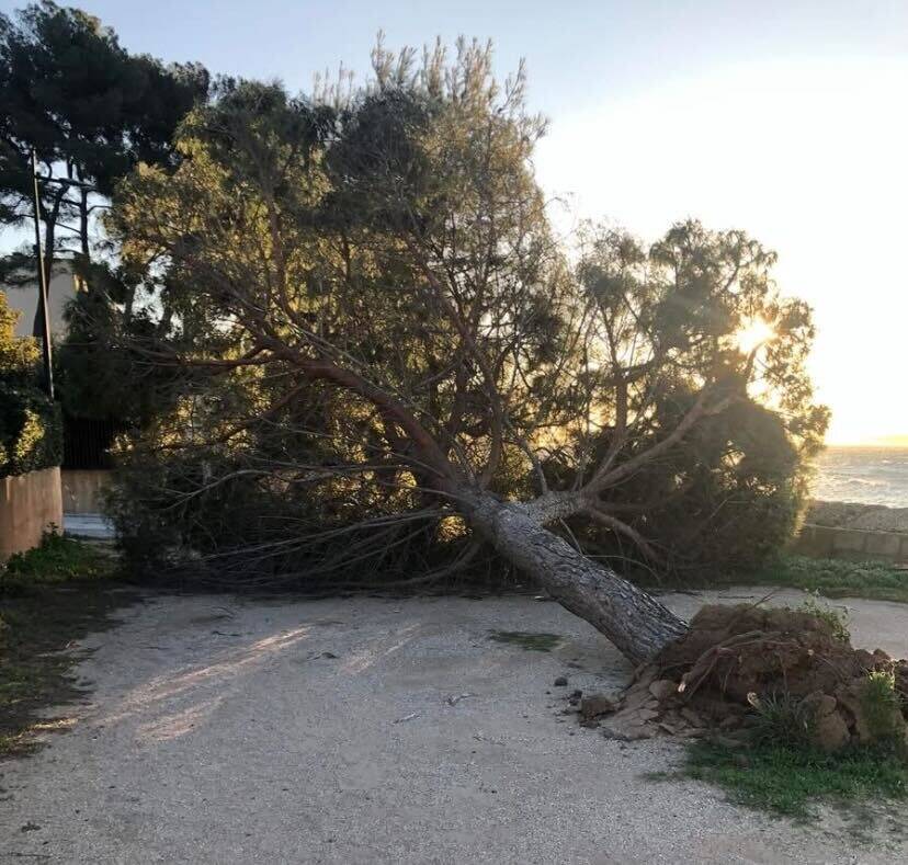 Vents violents dans le Var: des pointes enregistrées jusqu'à 159 km/h à Saint-Mandrier, de nombreux dégâts recensés