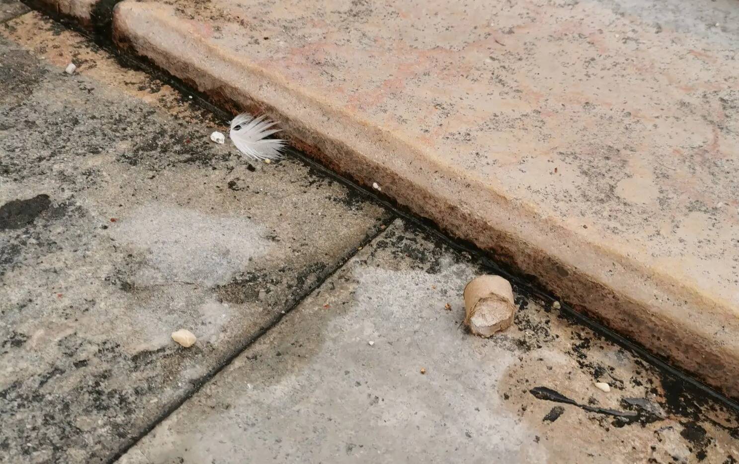 VIDEOS. Un mystérieux feu d'artifice a réveillé les Toulonnais dans la nuit de mercredi à jeudi