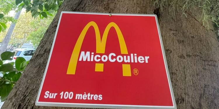 Leroy Merlin, Mcdonald's, Ford… L'artiste niçois Toolate colle une centaine de panneaux publicitaires sur des arbres pour dénoncer la pollution visuelle