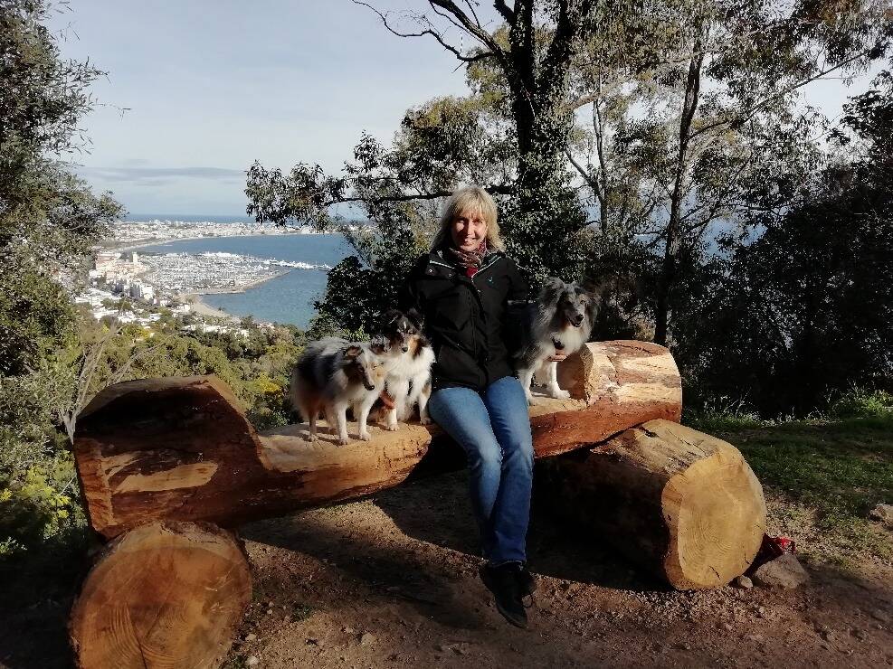 Son chien tué d'un coup de pied par un cycliste lors d'une promenade au Cannet?