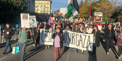 Plusieurs centaines de manifestants défilent à Nice pour la paix en Palestine