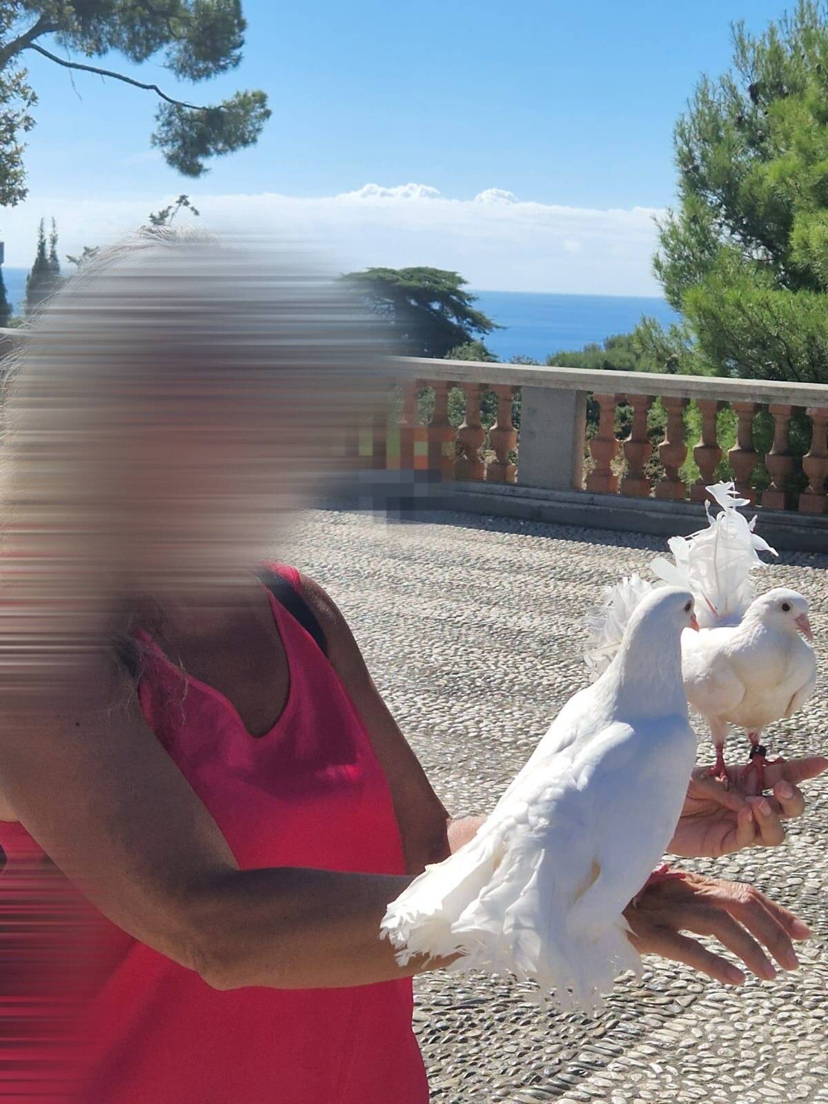 Trafic d'oiseaux au château de Nice: six mois d'interdiction des Alpes-Maritimes pour un des auteurs