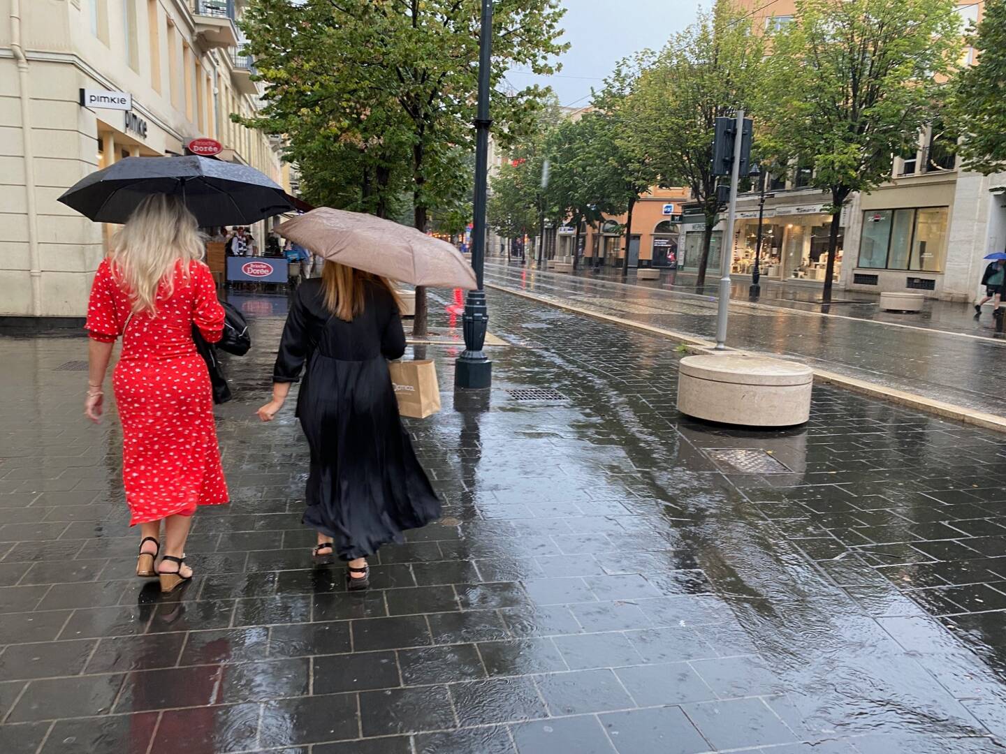 Il pleut depuis environ 10 heures ce matin à Nice. Le département est placé en vigilance orange aux orages et pluie-inondation. 