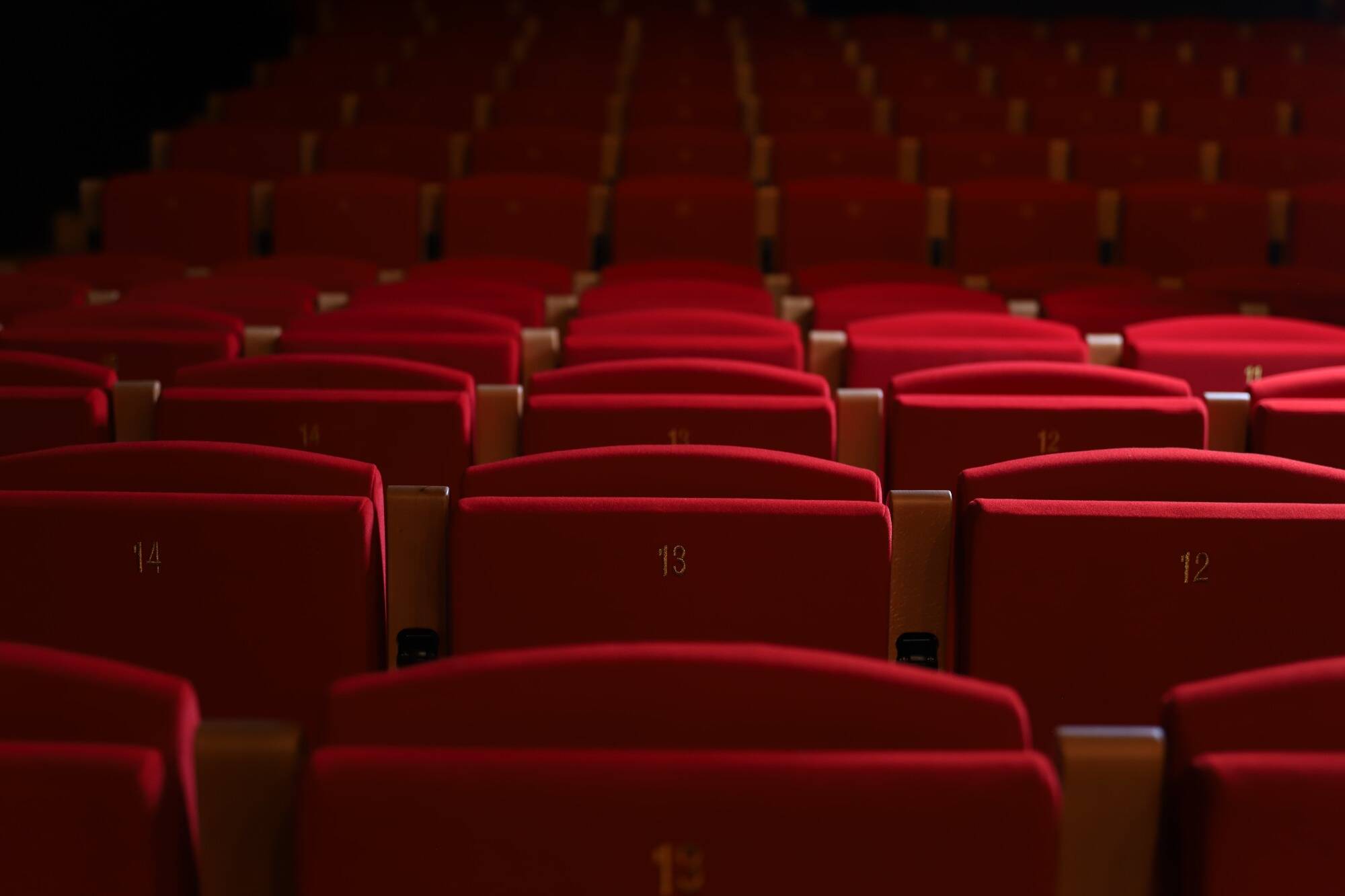 Il n'est "pas possible" de rouvrir les établissements culturels le 7 janvier, admet le porte-parole du gouvernement