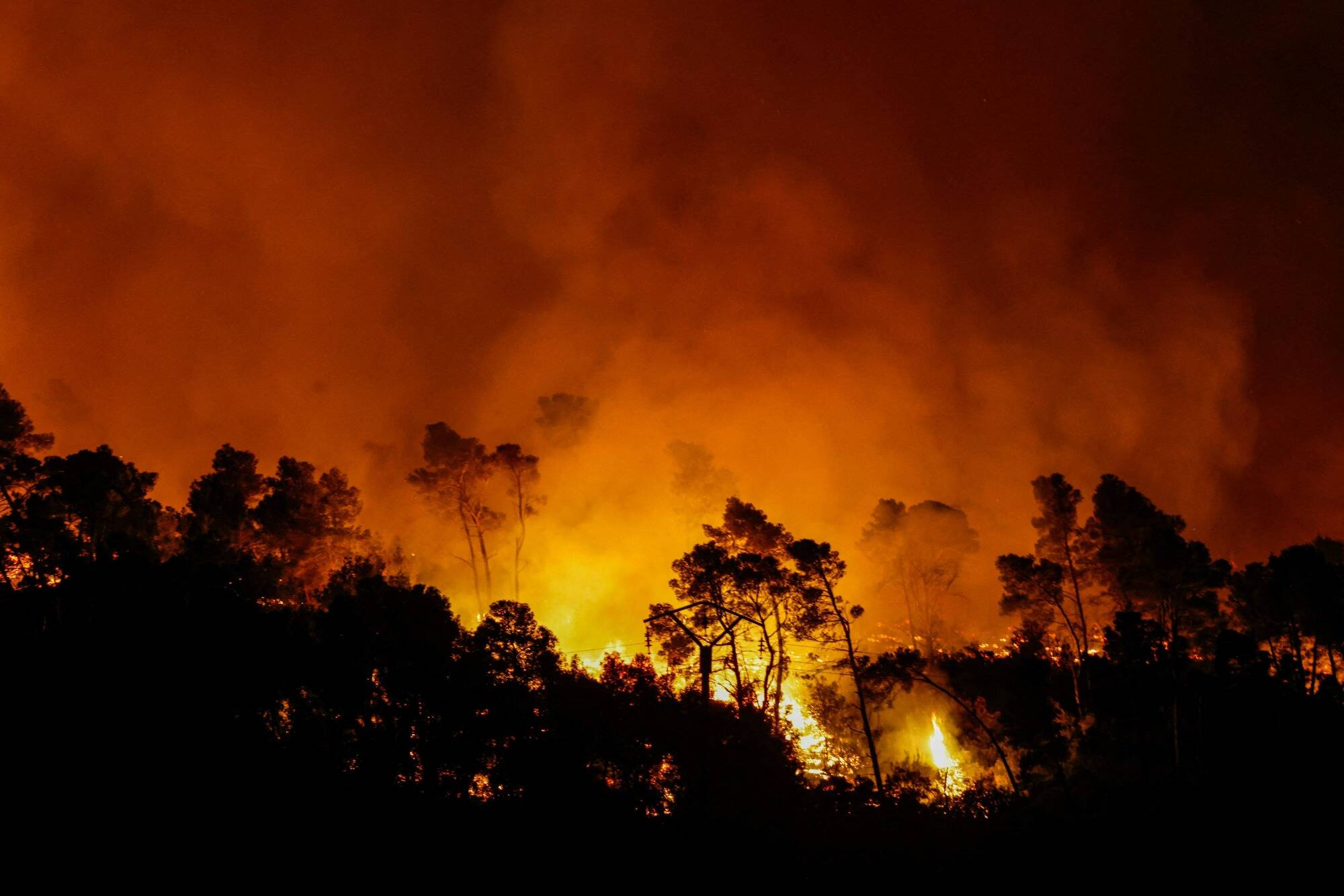 "Toute cause naturelle est exclue": l'incendie de l'Aude, le pire depuis au moins 50 ans, pourrait résulter d'un "acte volontaire"