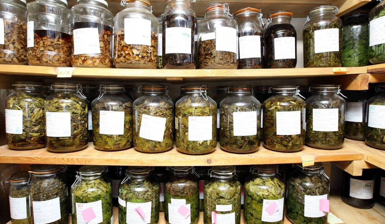 Un naturopathe renvoyé en procès après le décès d'un homme atteint d'un cancer