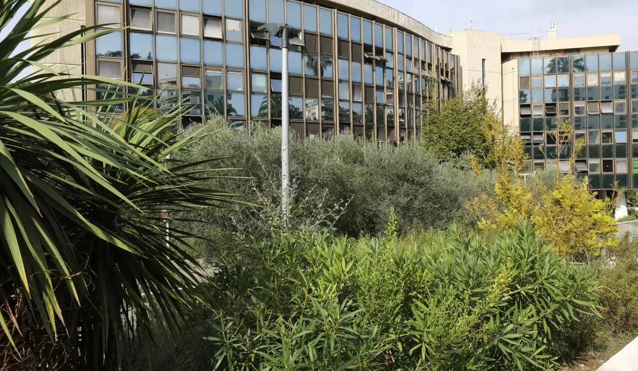 Exclusion d'une élève: sa famille avait insulté une surveillante et le principal du collège, elle sera jugée en avril