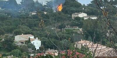 La foudre s'abat sur un arbre, ils éteignent le feu chez la voisine avant l'arrivée des pompiers