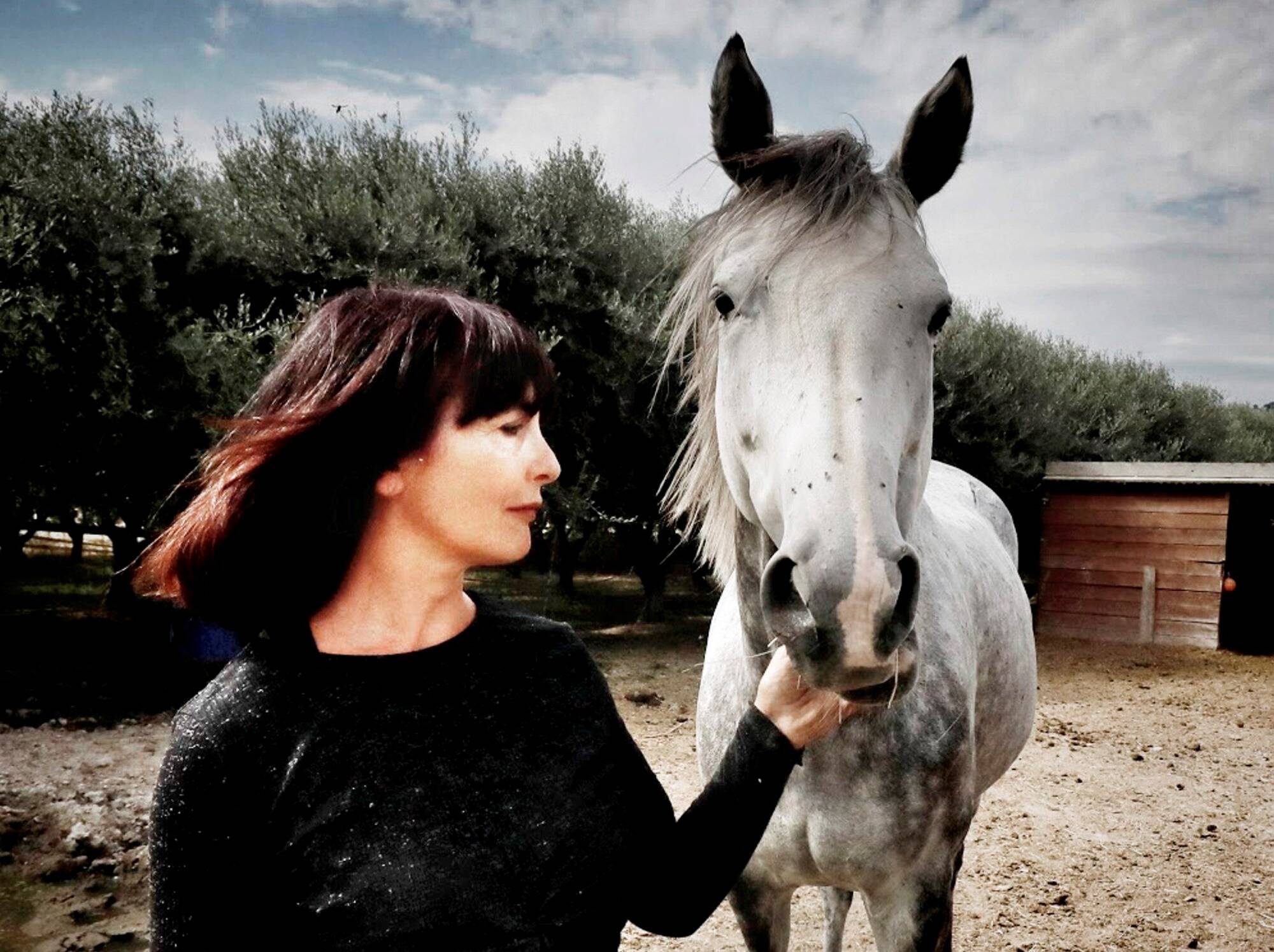 Elle lance un appel à l'aide pour sauver dix chevaux abandonnés par leurs propriétaires dans le Var