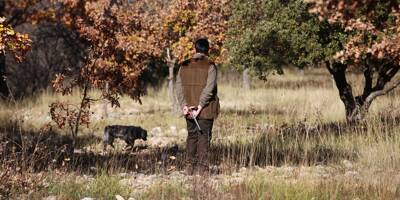 Un collectif demande des règles de sécurité plus strictes pour la pratique de la chasse