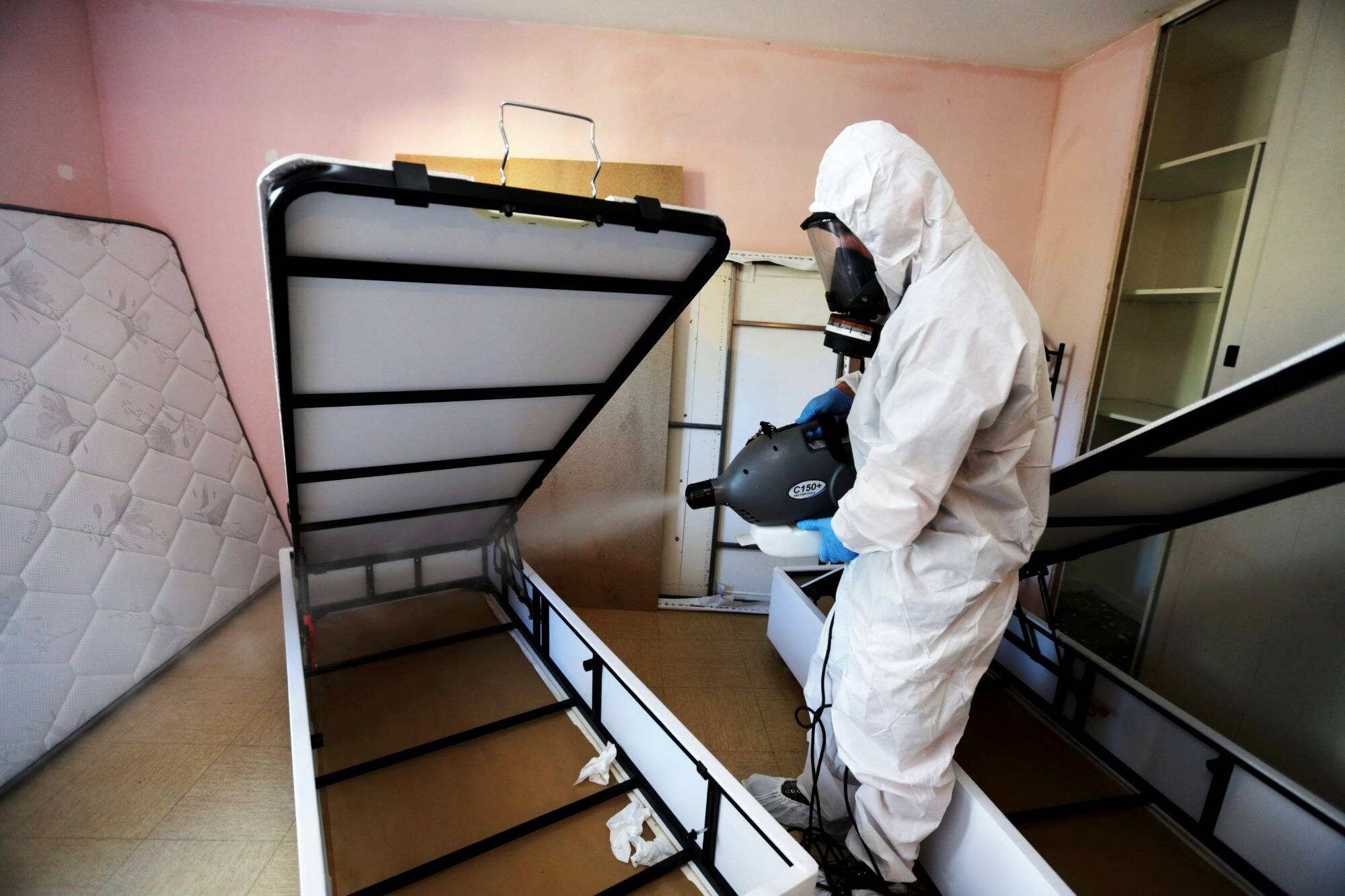 "La région Paca est l'une des plus touchées" par les punaises de lit, selon l'Agence régionale de santé