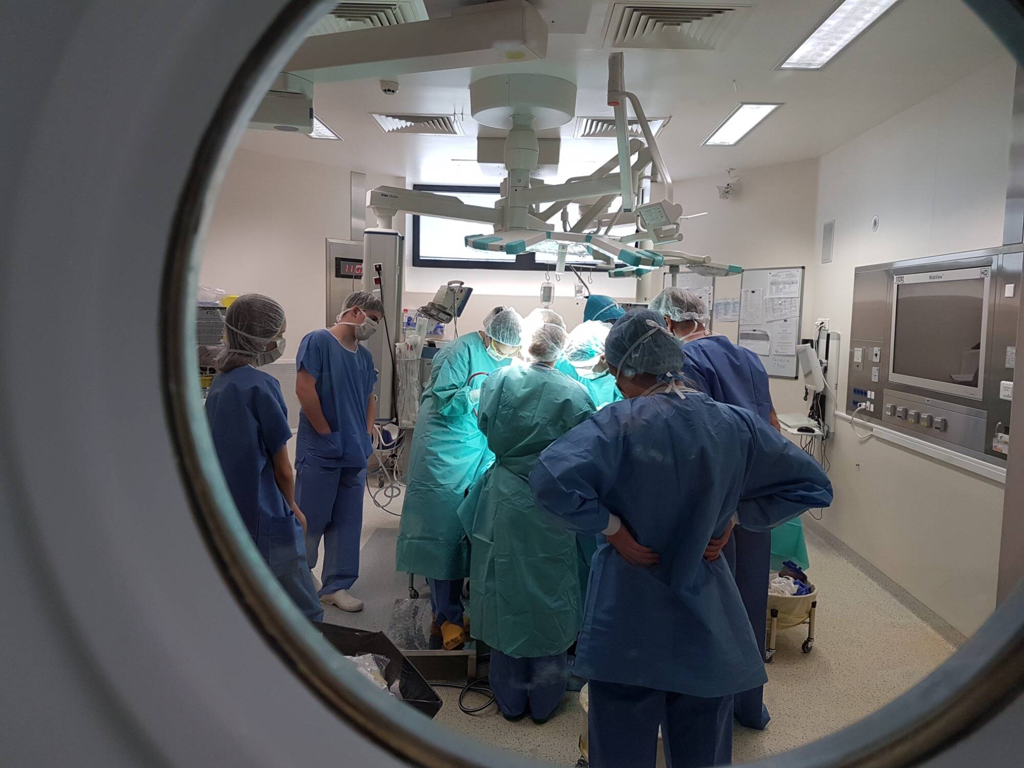 Accès au dépistage, consultations spécifiques, suppression des restes à charge...Ce que recommande la Ligue contre le Cancer dans un manifeste dédié au Président de la République