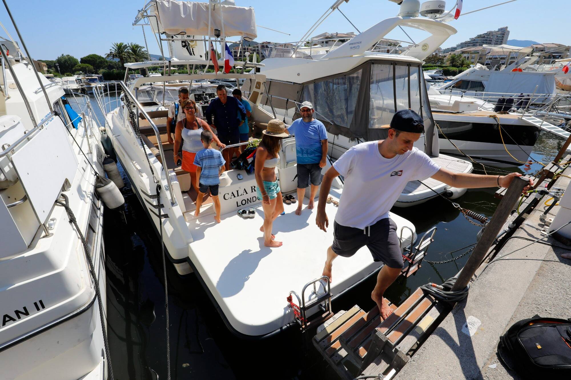 "On nous empêche de travailler": leurs bateaux saisis, les sociétés proposant de nager en mer avec les dauphins restent à quai