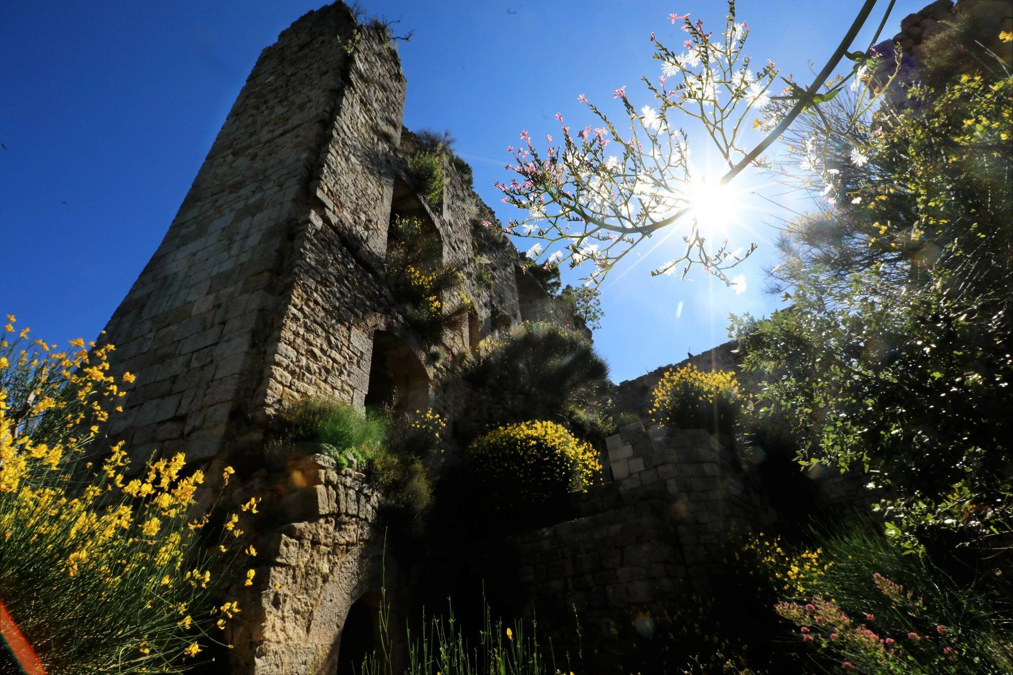 Grâce à la réalité virtuelle, vous pourrez bientôt (re)découvrir ce