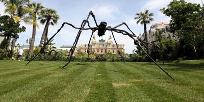 L'araignée de 3 mètres exposée à Monaco devient la plus chère du monde