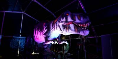 Fouilles archéologiques, séances de caresses de triceratops, simulateur 8D... Trois jours d'immersion à l'ère des dinosaures à Nice à partir de vendredi