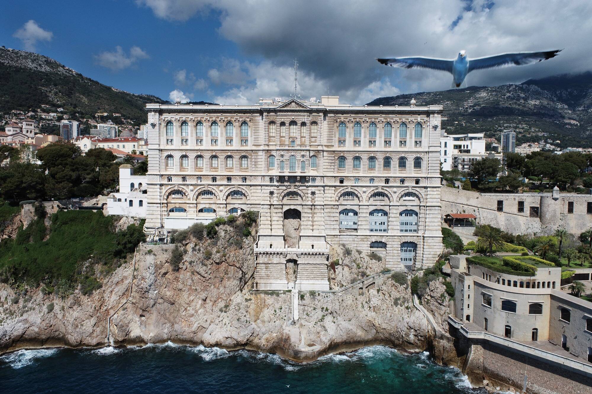 Vous recherchez un emploi pour cet été? 39 postes seront à pourvoir le 5 avril prochain au Musée Océanographique de Monaco