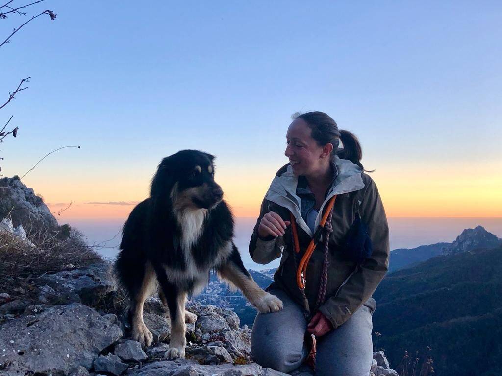 Près de 2.000 signatures recueillies par une pétition pour que les gendarmes n'utilisent plus leur arme face aux chiens errants