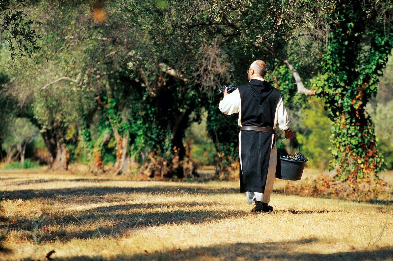 Ils visaient les 3.000 bouteilles pour aider à la restauration de la tour, les moines de Saint-Honorat en ont déjà vendu le double