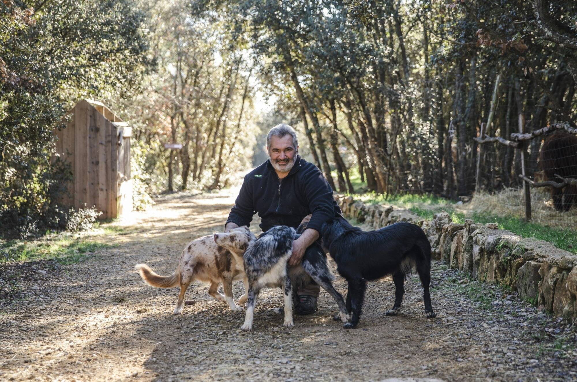 D'anciens candidats de l'émission "L'Amour est dans le pré" participent à ce marché de Noël du Var