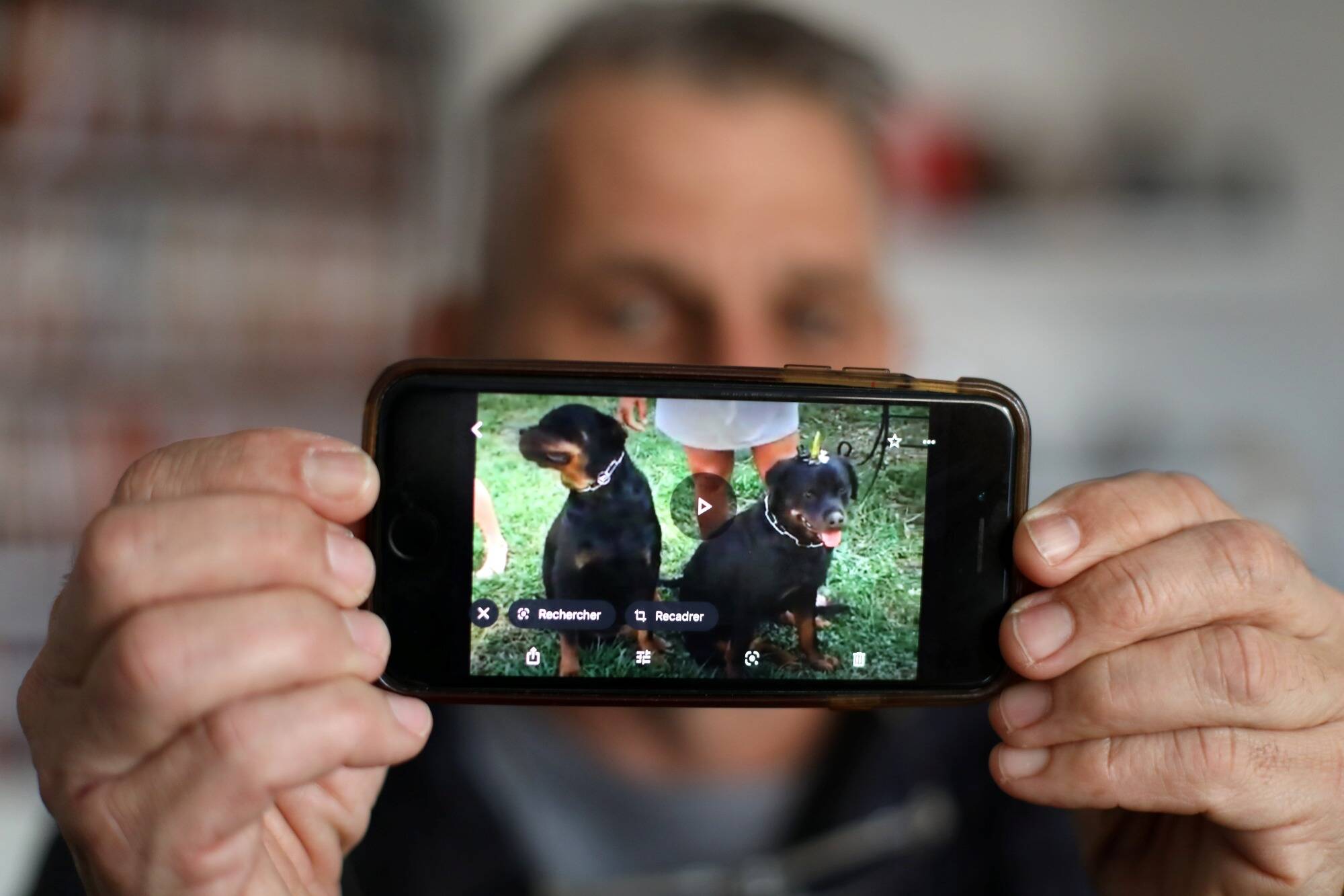 Ils avaient attaqué un joggeur dans le Var: la propriétaire des deux chiens mordeurs fait condamner la Ville