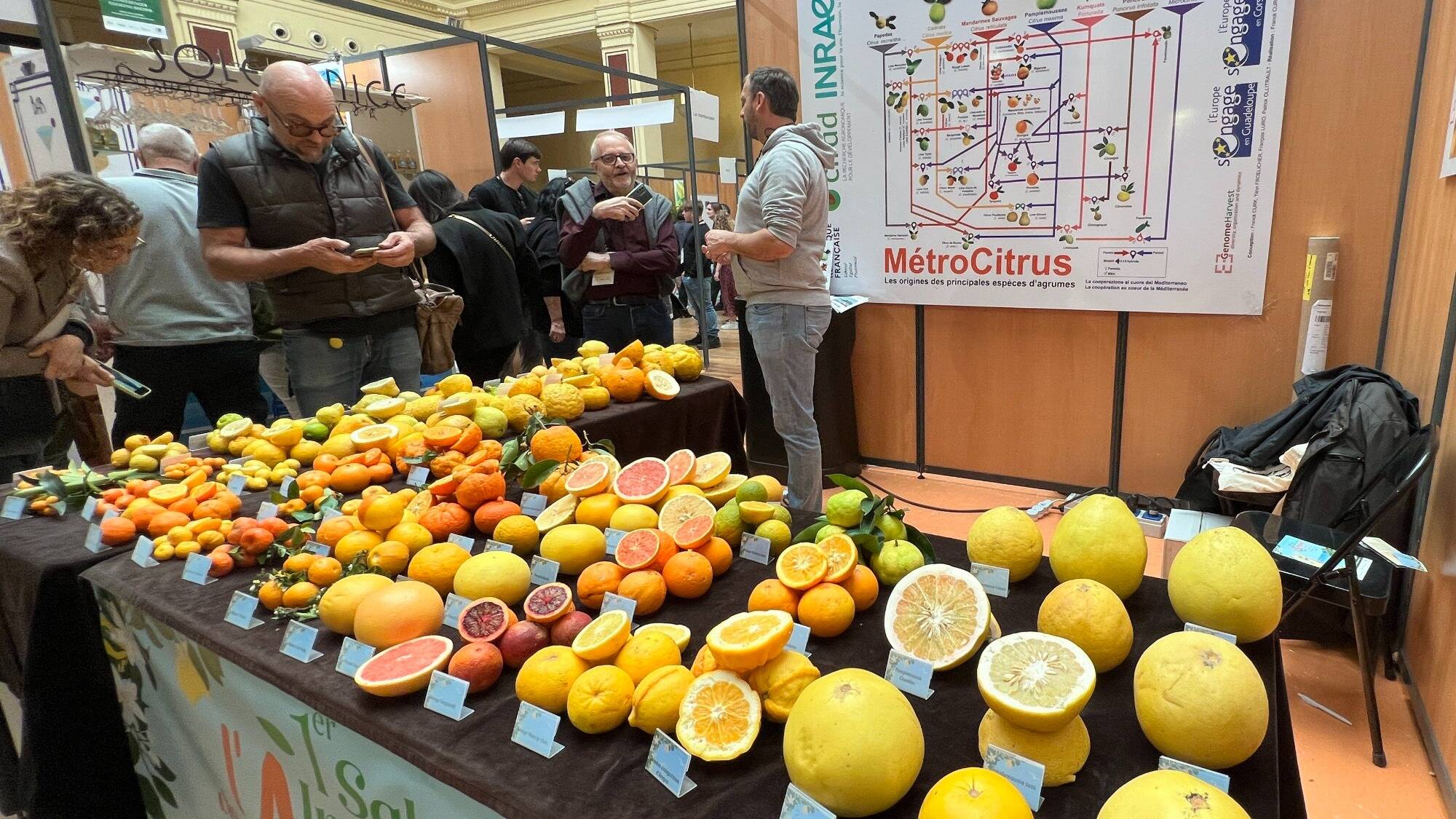 Le Salon international de l'agrume revient pour une 2e édition à Menton en avril prochain
