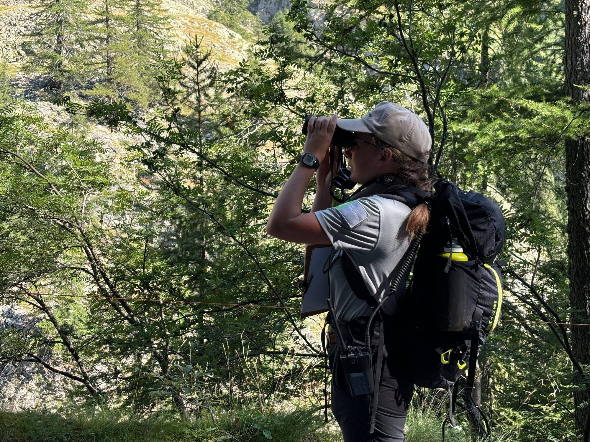 Randonnées, apéros, cinéma... Voici le rendez-vous à ne pas rater au mois de juillet dans le Mercantour