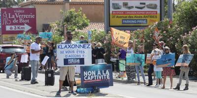 Pourquoi les militants de l'association One Voice se sont mobilisés contre le Marineland d'Antibes