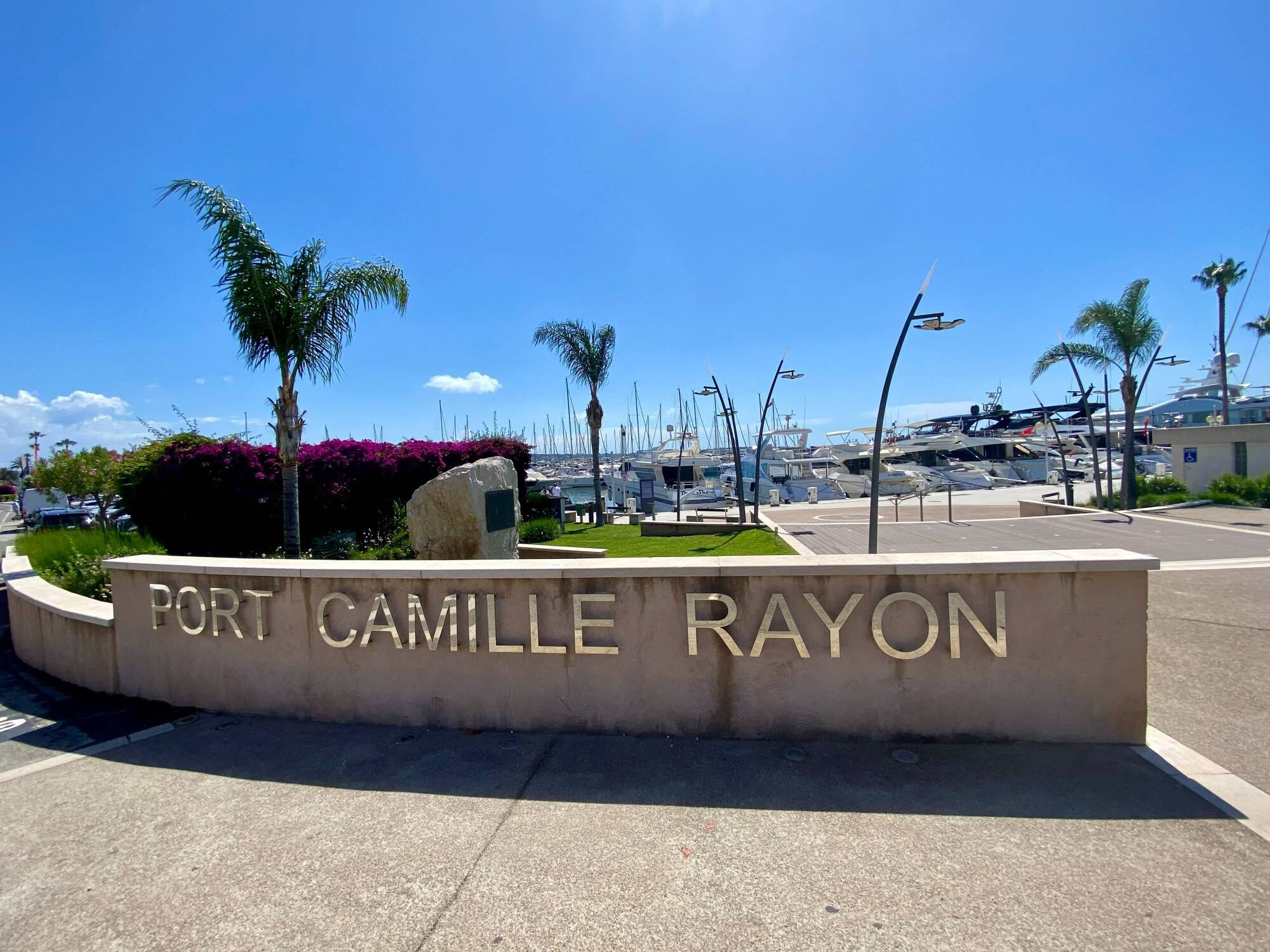 "Je les ai vus filer le long des yachts": ce port de la Côte d'Azur confronté à une invasion gênante de rats