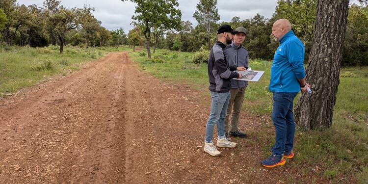 Coupe d'arbres, pistes, citernes... Le Plan intercommunal de débroussaillement et d’aménagement forestier va être révisé au sein de l'agglo Coeur du Var