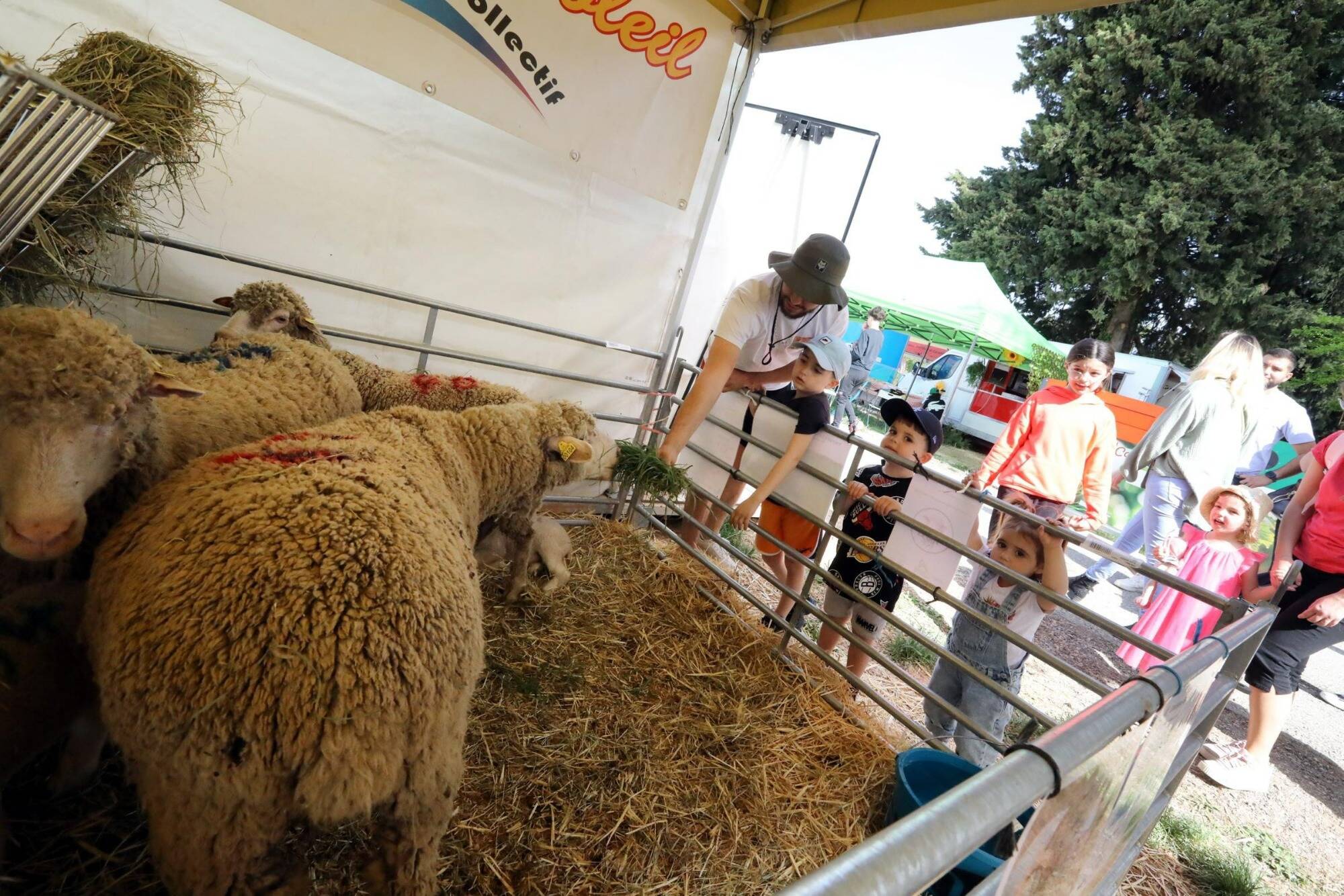 De nombreuses animations, 250 stands, mise en valeur du savoir-faire local... Le coup d'envoi de la foire de Brignoles est donné