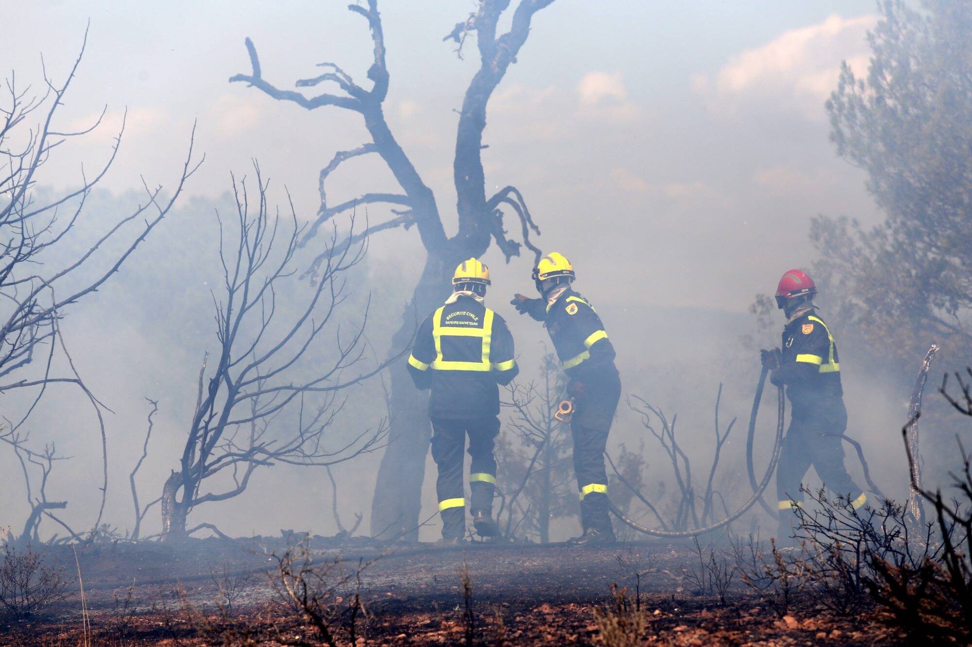 Un camping-car prend feu à Saint-Raphaël, 600 m2 de végétation brûlés