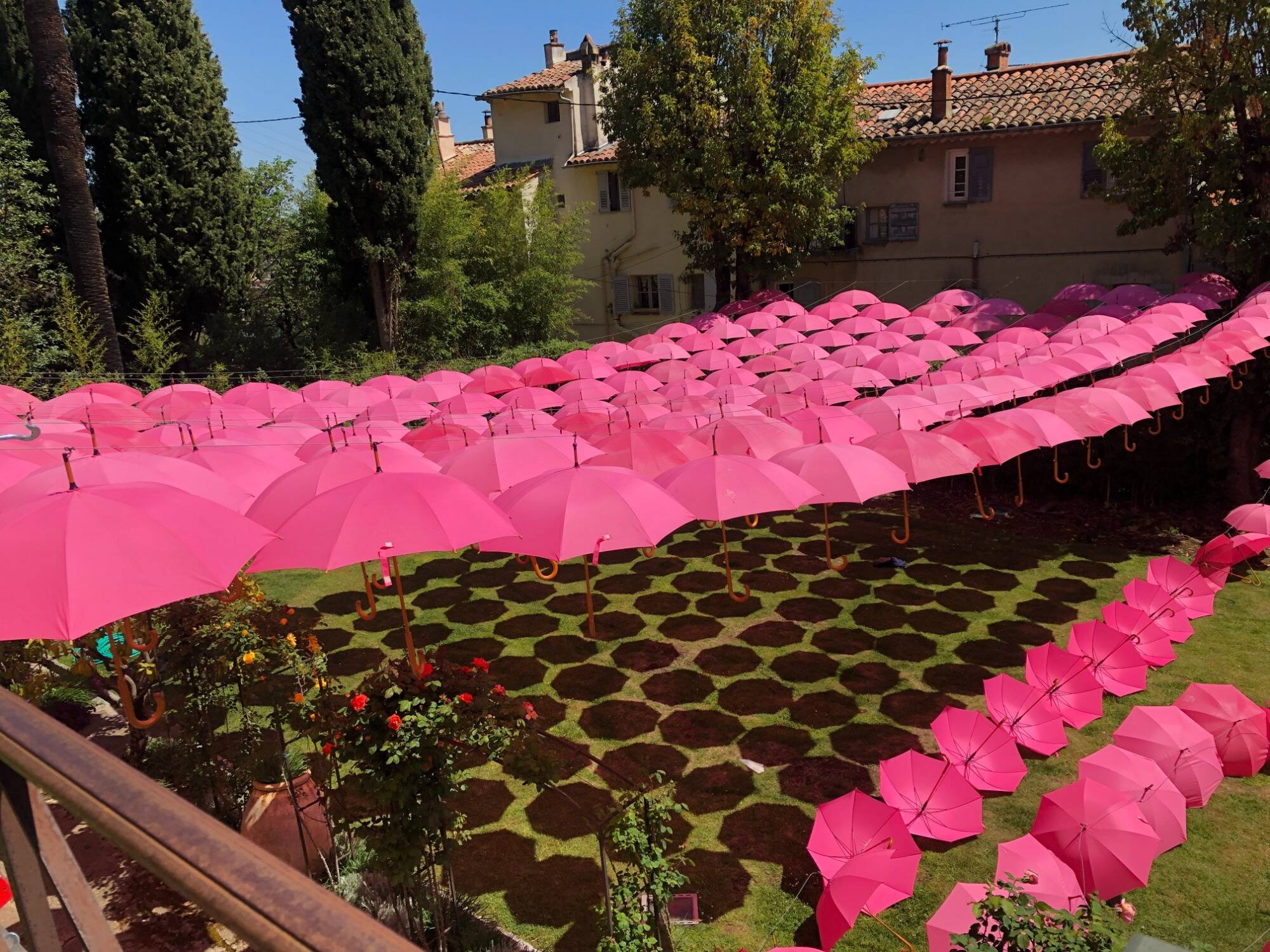 Les parapluies roses font leur retour à Grasse, on vous explique pourquoi