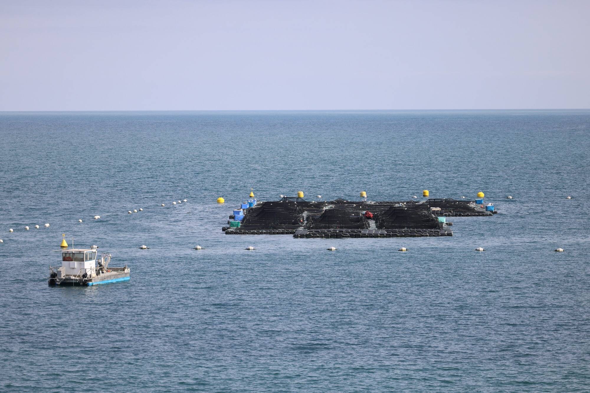 Il ne vous reste que quelques jours pour donner votre avis sur la modernisation du projet de ferme aquacole dans la baie de Golfe-Juan