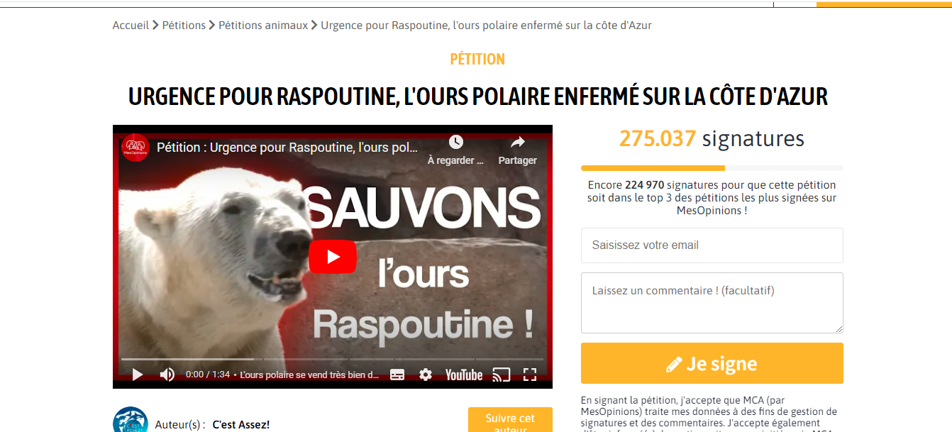 Fête de la musique, stationnement, Marineland... Toutes ces pétitions qui ont été lancées sur la ville d'Antibes