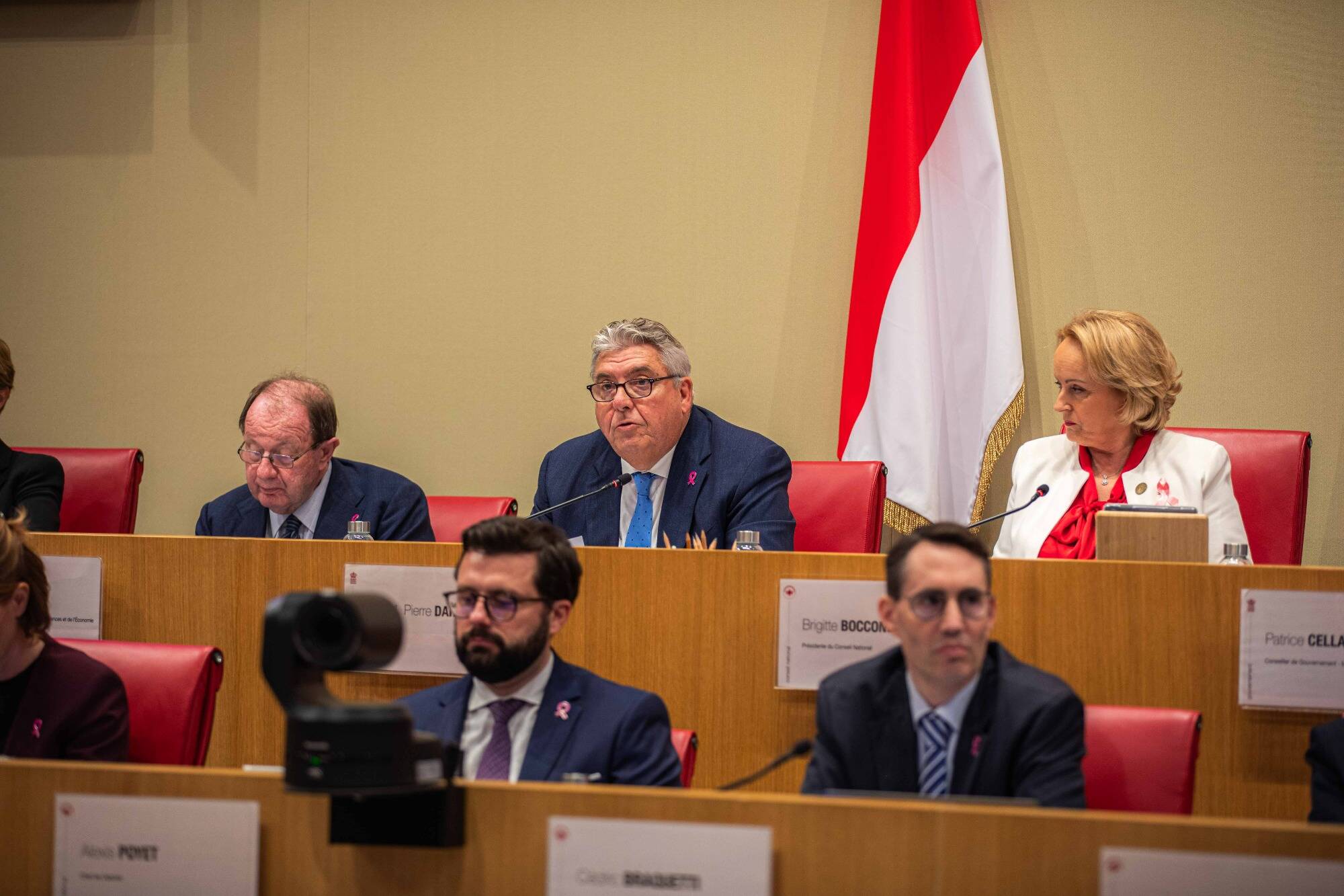 "Je déplore l'image que le Conseil national tente de donner du gouvernement princier", lance le ministre d'Etat, Pierre Dartout aux élus