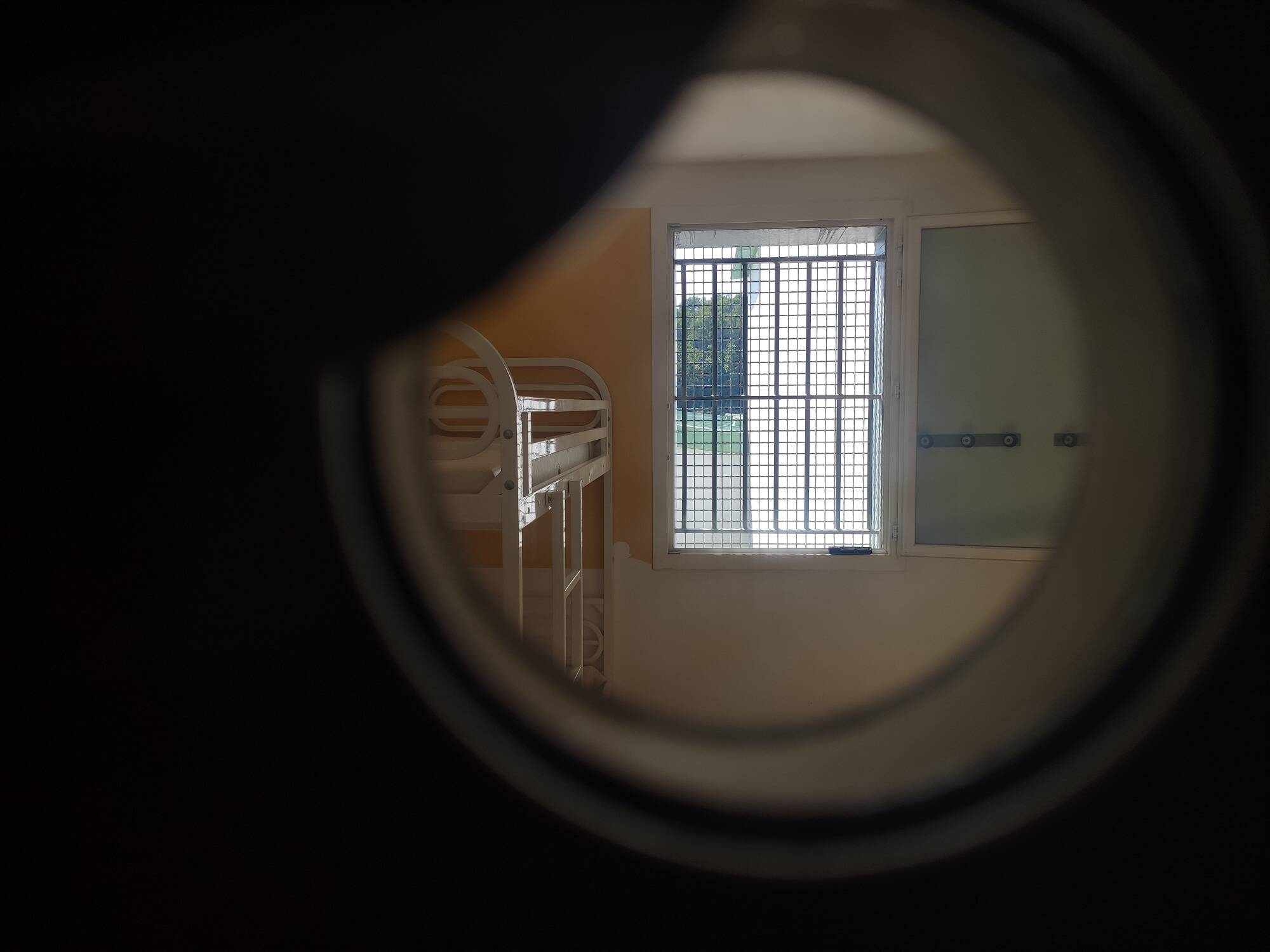 Elle avait agressé à coups de poing une handicapée qui promenait son chien, une jeune femme extraite de sa cellule pour être internée