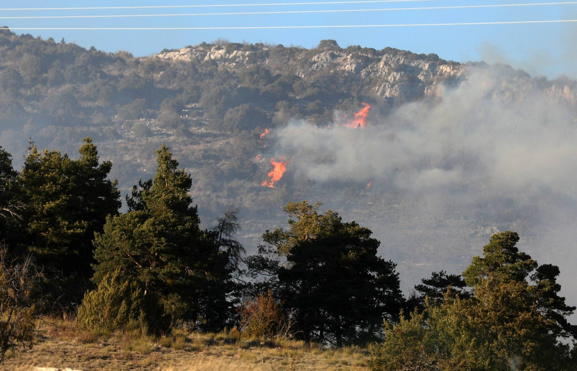 “We have had dry winters, but never to this extent”: in Draguignan, the winter drought dangerously increases the risk of fire for this summer