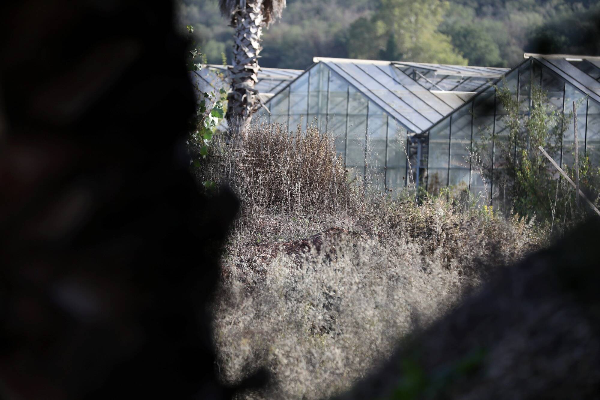 Ferme squattéeaux Arcs-sur-Argens: un accord à l'amiable conclu après des années de batailles judiciaires
